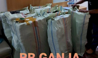 Polri-Musnahkan-7-Haktare-Ladang-Ganja-Di-Gunung-Lauser-Dan-Sita-592-Kg-Ganja-Kering