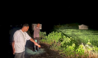 Polisi-Datangi-TKP-Warga-Tersambar-Petir-di-Lembor