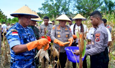Polda-NTT-Panen-Jagung-Serentak-Tahap-I,-Dukung-Swasembada-Pangan-2025