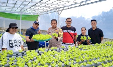 Dukung-Ketahanan-Pangan,-Polisi-Bersama-Pemdes-Batu-Cermin-Budidaya-Sayuran-Secara-Hidroponik
