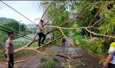 Aksi-Cepat-Anggota-Polres-Mabar-Bersihkan-Pohon-Tumbang-dengan-Alat-Seadanya