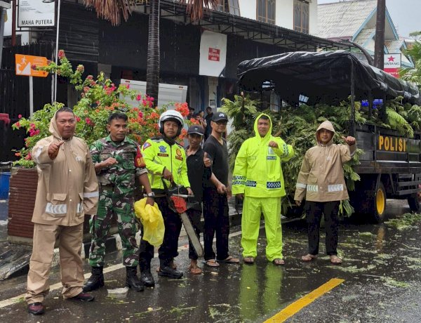 Respons Cepat Satlantas Polres Manggarai Barat Atasi Pohon Tumbang di Labuan Bajo