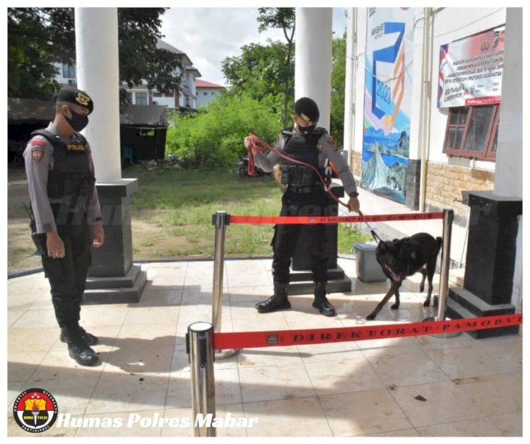 Anjing K9 Dikerahkan Sterilisasi Kantor KPUD Manggarai Barat