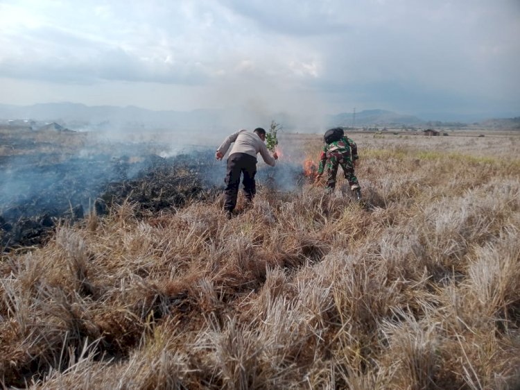 TNI-Polri Bersama Masyarakat Berhasil Padamkan Api Yang Membakar Persawahan Lembor
