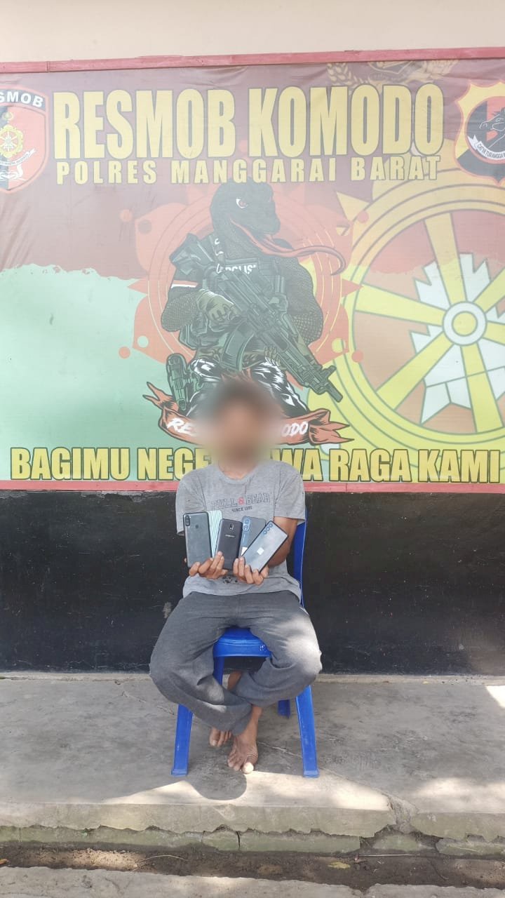 Ditangkap Polisi, Tukang Ojek Terduga Pelaku Pencurian Ternyata Residivis