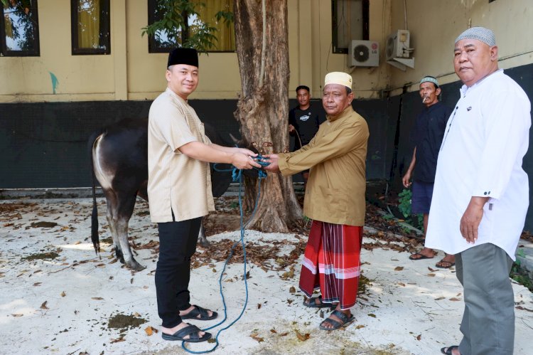 Momen Idul Adha 1445 H, Polres Mabar Sembelih 2 Ekor Sapi dan 11 Ekor Kambing Qurban