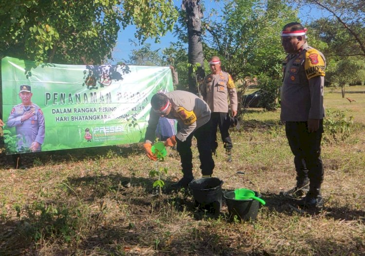 Peringati Hari Bhayangkara Ke-78, Polisi Tanam 1.170 Bibit Pohon di Manggarai Barat