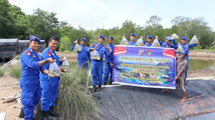 Dukung Asta Cita, Polisi Sebar Ribuan Benih Ikan Nila di Labuan Bajo