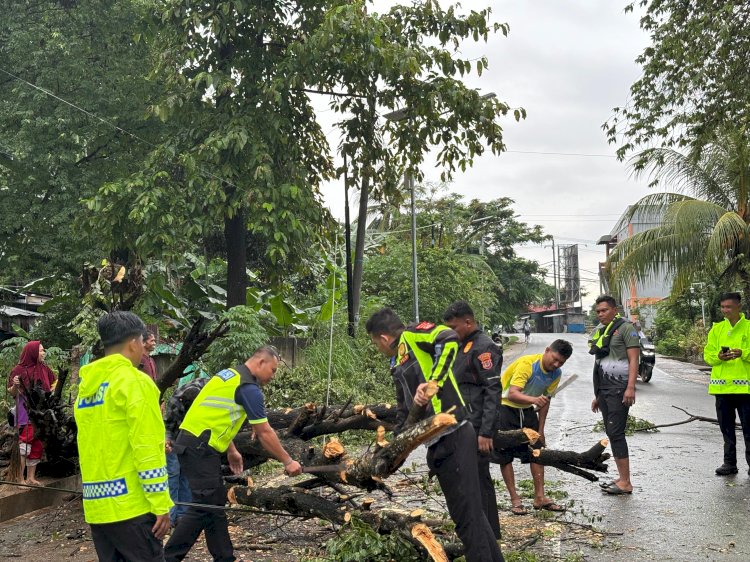 Siaga Bencana, Polisi Kembali Bersihkan Pohon Tumbang di Labuan Bajo