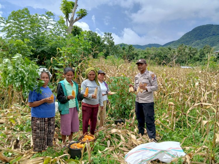 Polri Dukung Ketahanan Pangan, Produksi Jagung Indonesia Meningkat pada Triwulan pertama 2025