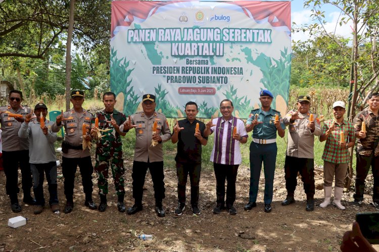 Polisi Bersama Forkopimda dan Kelompok Tani Gelar Panen Raya Jagung di Labuan Bajo