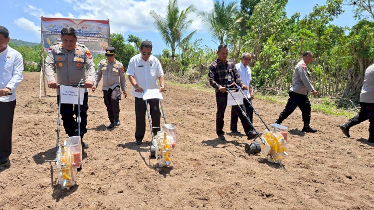 Gunakan Varietas Nusa 01, Polres Mabar Tanam Jagung Kuartal IV di Labuan Bajo