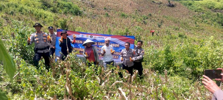 Polisi dan Petani Golo Mori Bahu-Membahu Kawal Ketahanan Pangan di Tengah Tantangan Iklim
