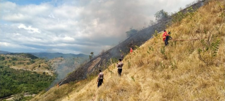 Sinergi TNI-POLRI dan Damkar Jinakkan Kebakaran Savana Bukit Silvia Labuan Bajo