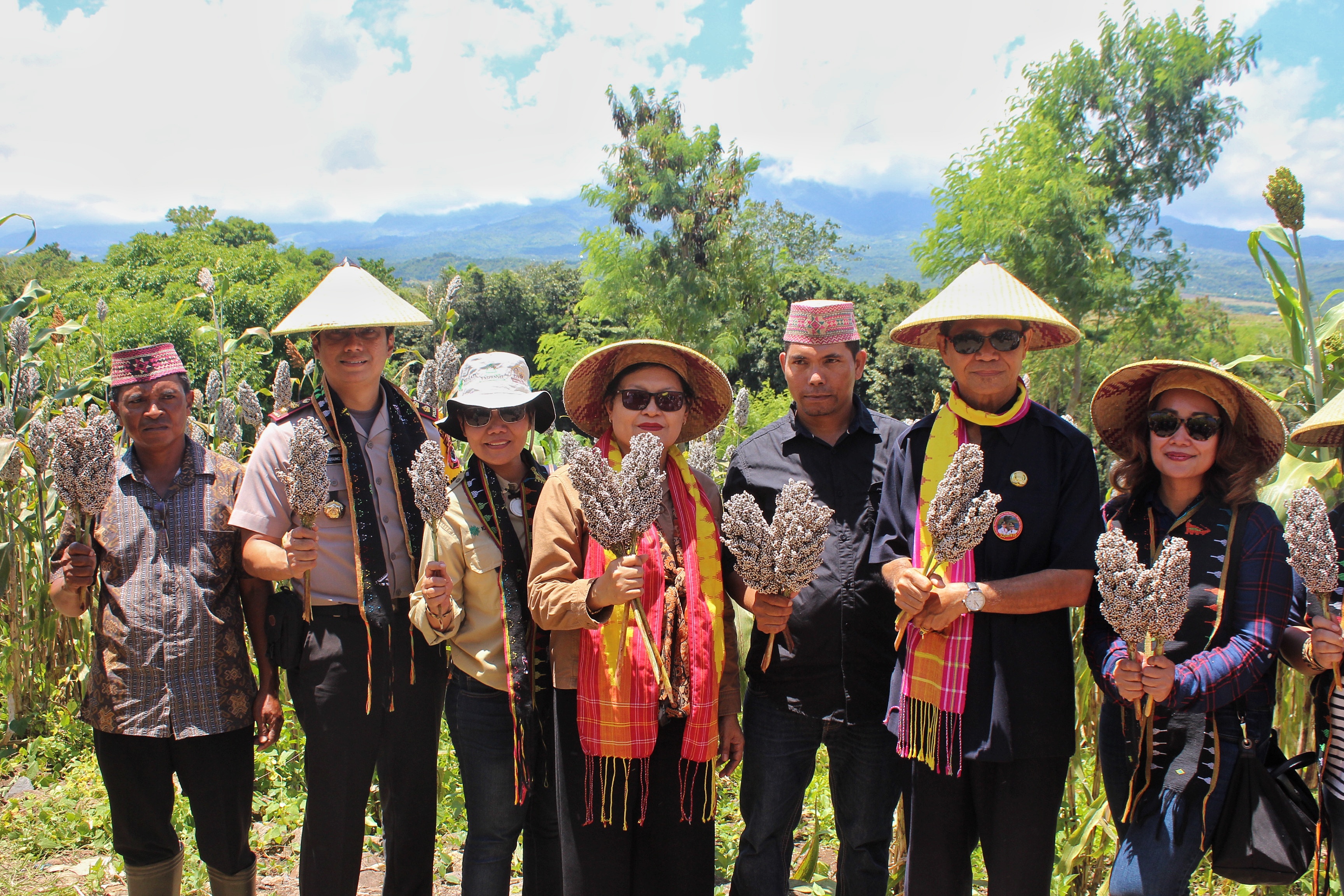 Kapolres Mabar dan Ketua Bhayangkari Cabang Mabar hadiri Giat Panen simbolis Sorgum di Desa Ngancar